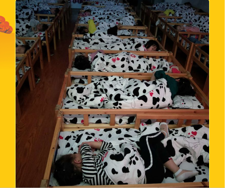 QQ图片20190513105012.png