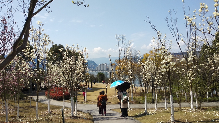 IMG_20190314_131912_副本.jpg