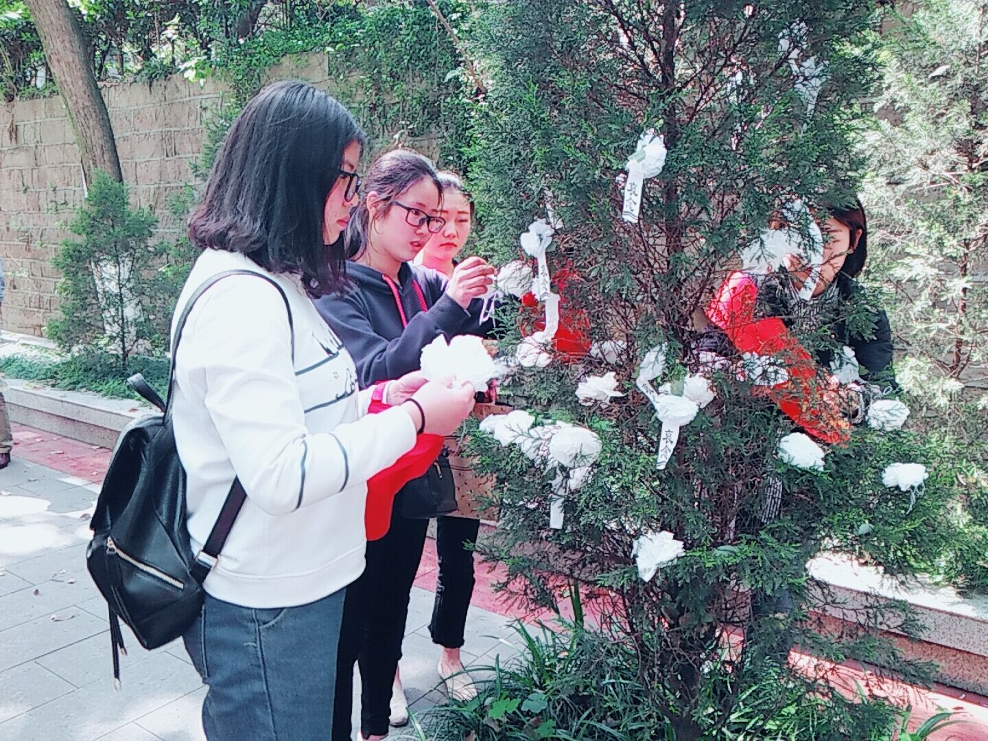 QQ图片20170405100943.jpg