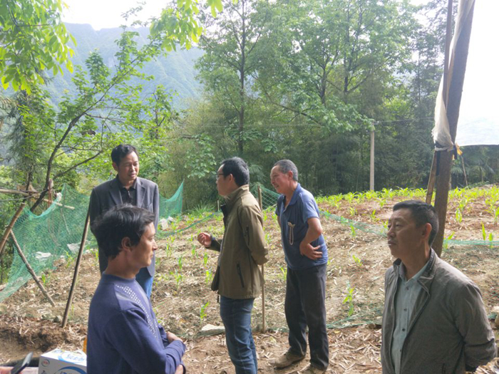 11F3B9D2AF5D34E1908B4900E5C5B78A_副本.jpg